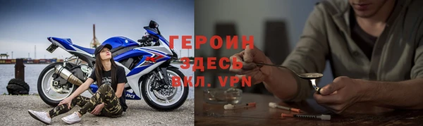 прущие грибы Медногорск