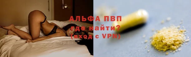 ПСИЛОЦИБИНОВЫЕ ГРИБЫ Вязьма