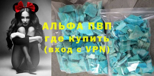 прущие грибы Медногорск