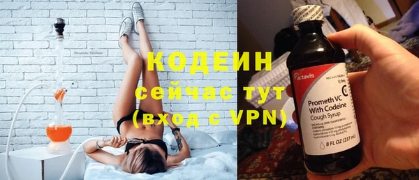 прущие грибы Медногорск