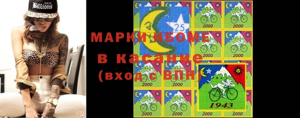 стафф Алексин
